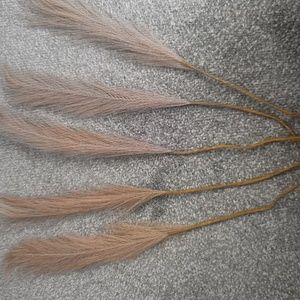 1pcs Reed pampas Grass